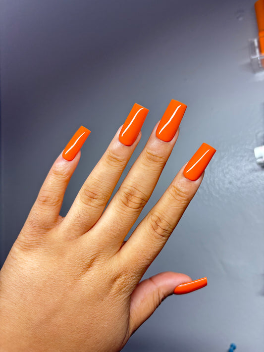 Pumpkin Patch (custom)