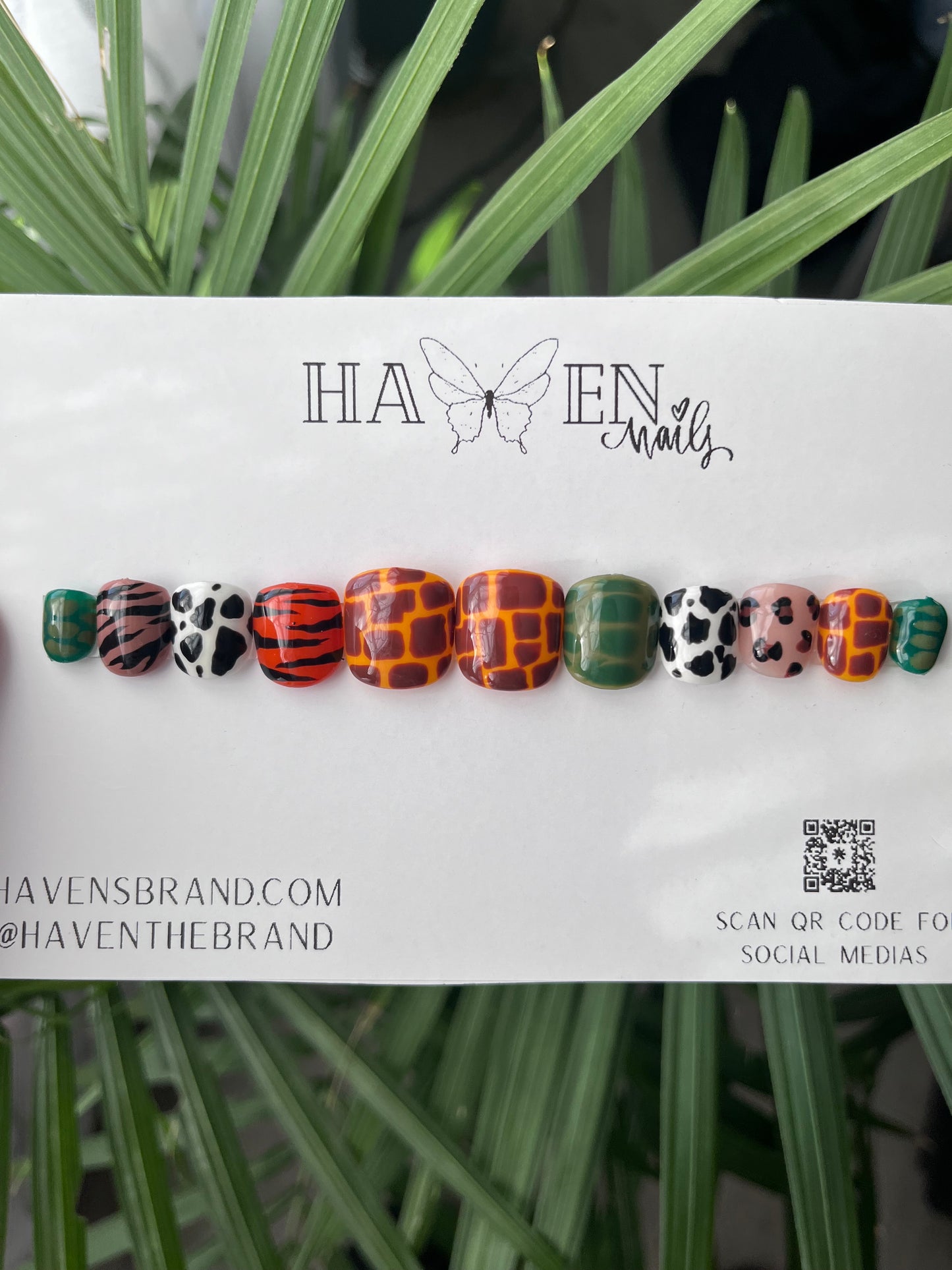 Safari Mami