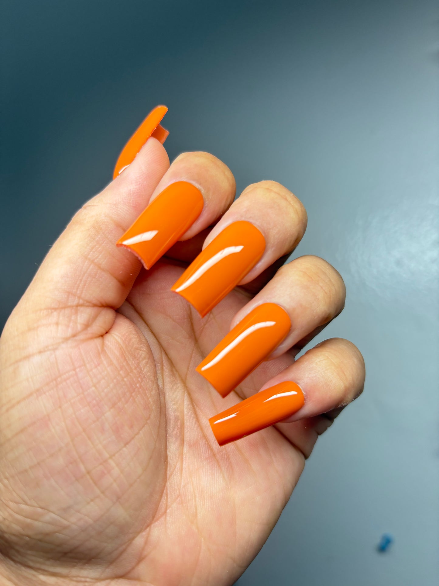 Pumpkin Patch (custom)