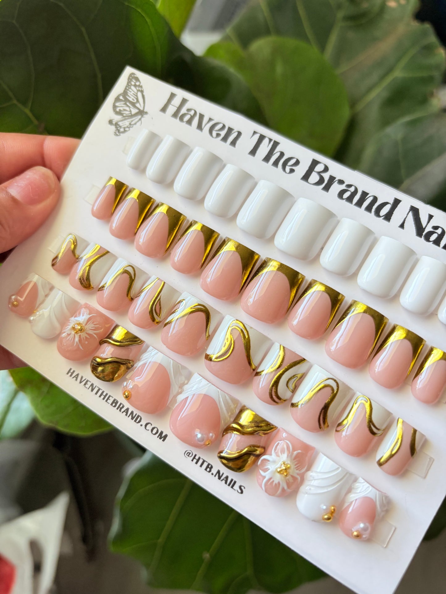 Aurora Bundle