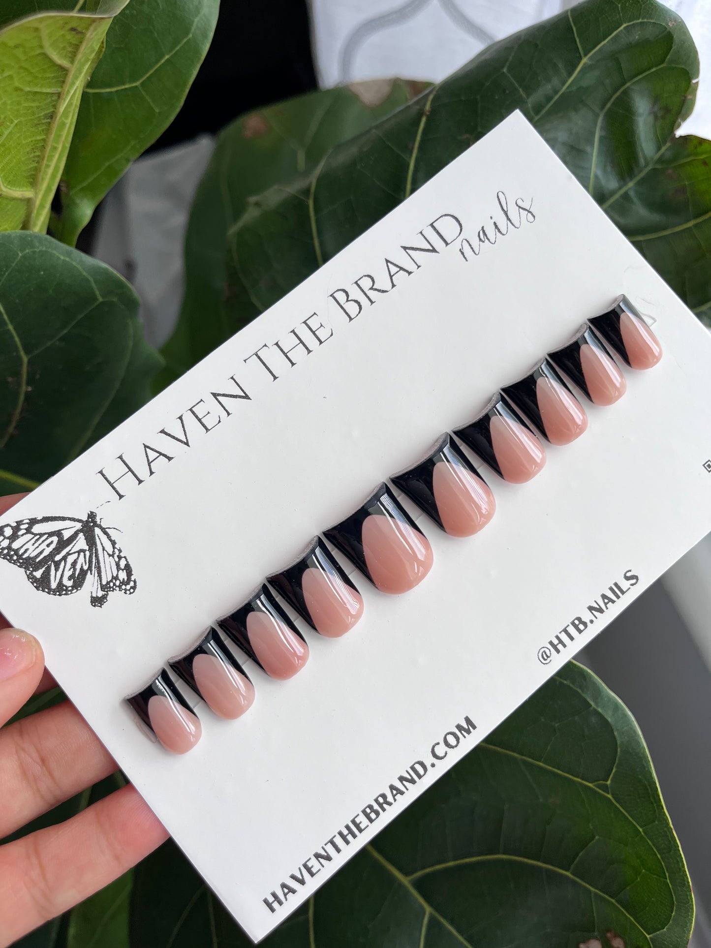 Short Black French Tip (RTS)