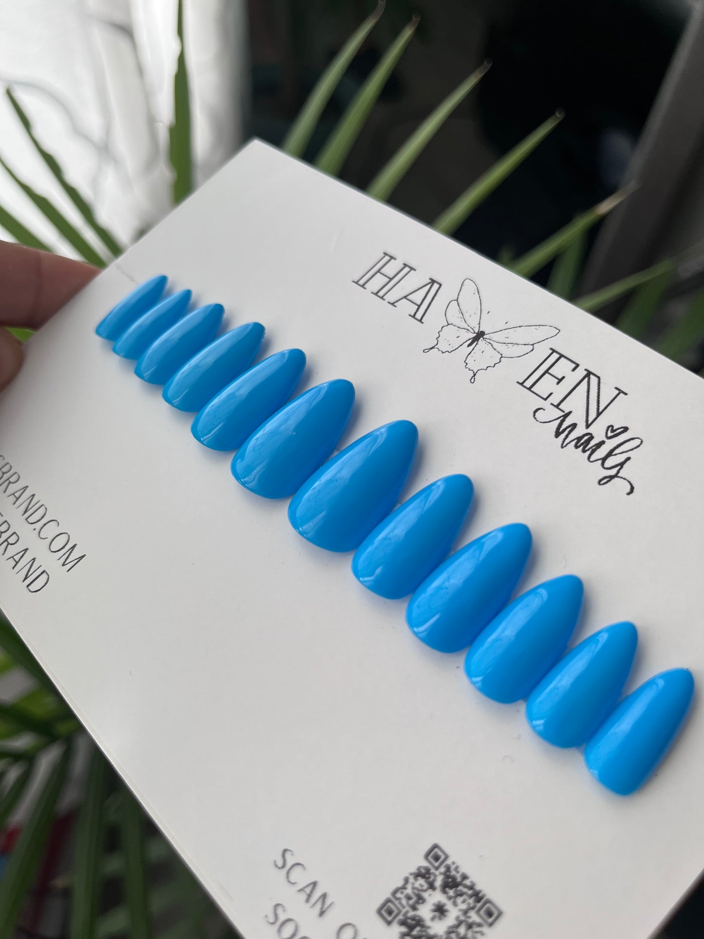 Solid Color Set -  Aquarius Blu