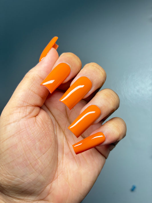 Pumpkin Patch (custom)